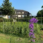 Hotel Pohorje