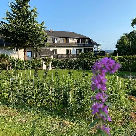 Boutique Pohorje Hotel 3*