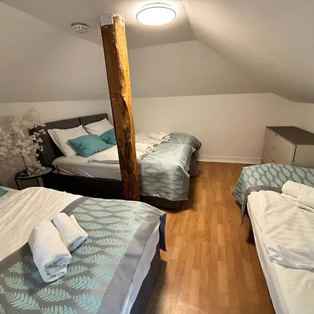 Pohorje 3* מריבור