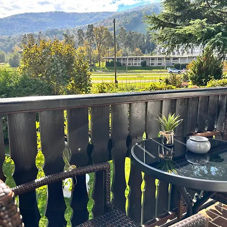 Pohorje Hotel 3*