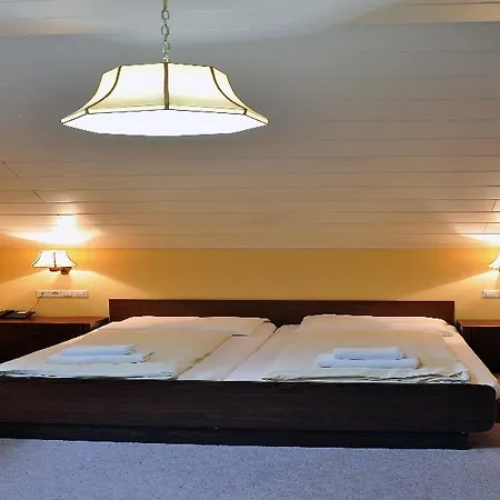 Boutique Pohorje Hotel