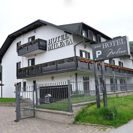 Pohorje 호텔 3*