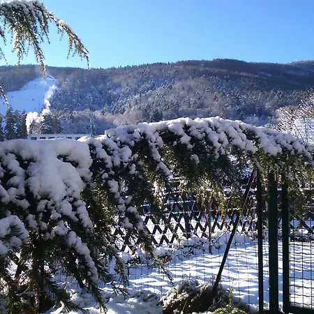 Pohorje 호텔 3*