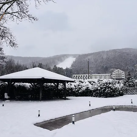 Pohorje 3* 马里博尔