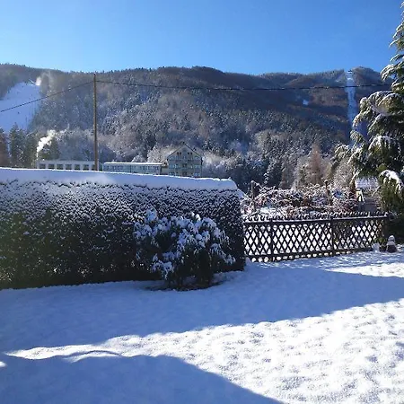 Boutique Pohorje Hotel 3*