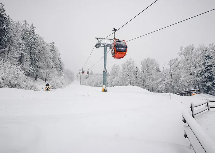 酒店 Pohorje 马里博尔